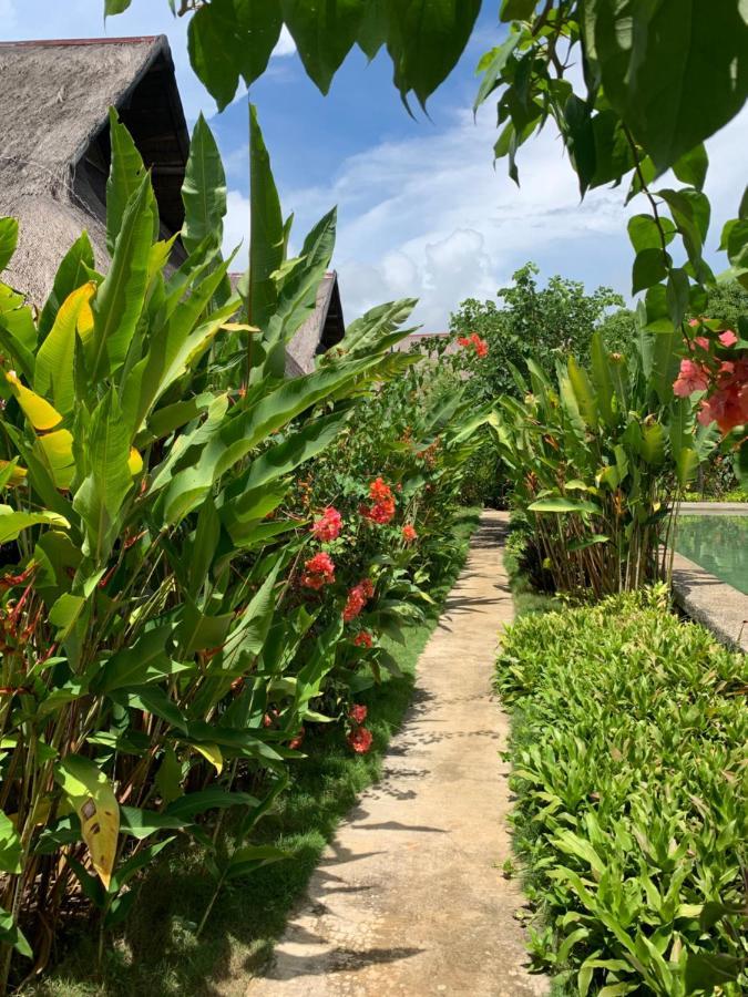 Three Little Birds Resort Anda  Exterior photo